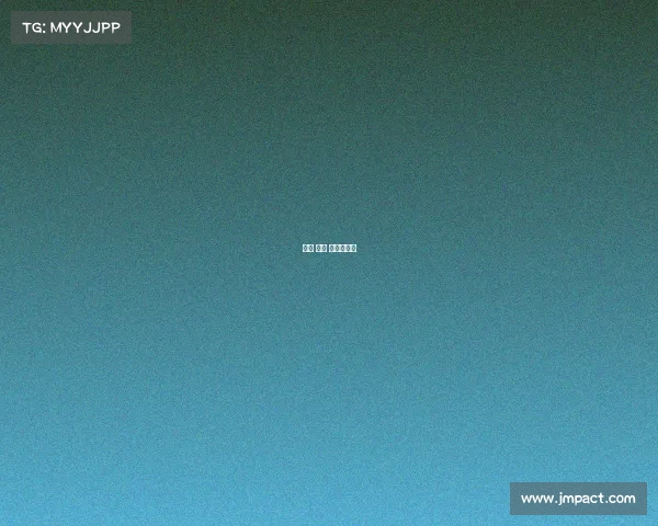 纽约 承办 赛事时间表